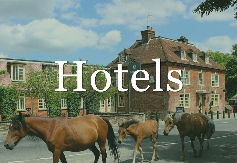 New Forest Hotels