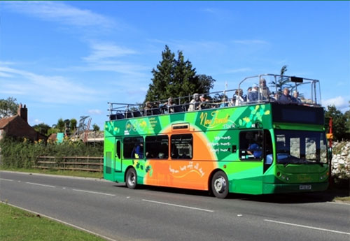 New Forest Bus Tours