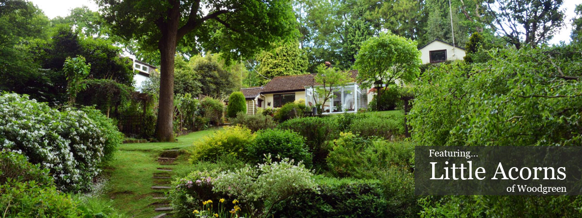 Featured new forest accommodation, Little Acorns