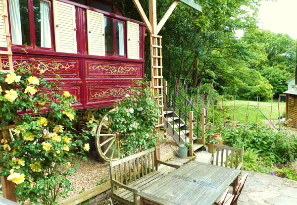 New Forest glamping, showmans wagon